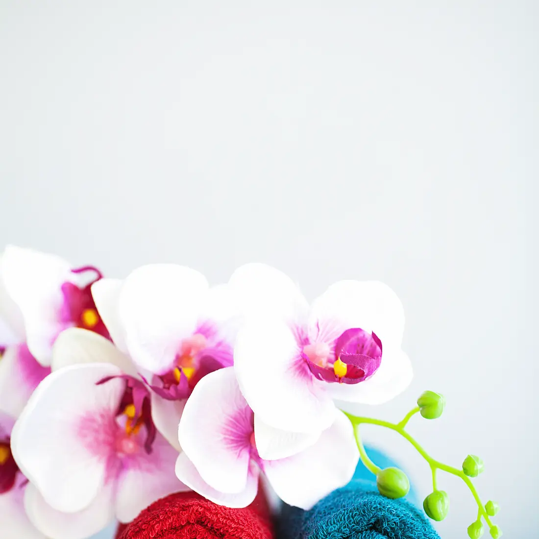 orchids and rolled towels on a light background