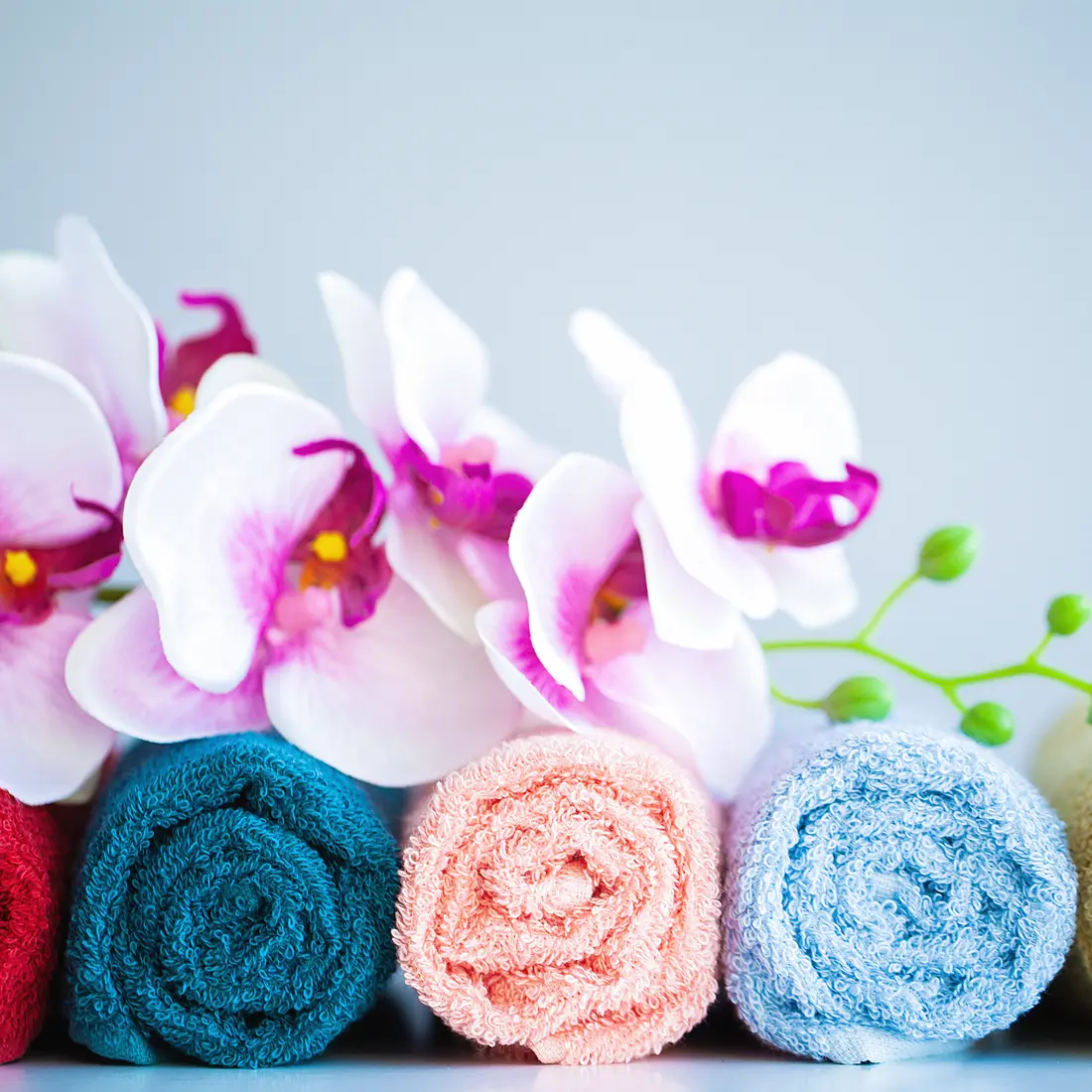 rolled towels and orchids on a light background